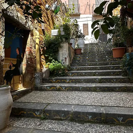 Maison d'hôtes O Munti