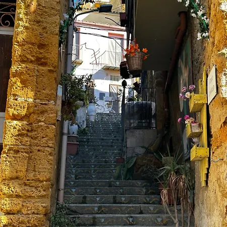 Maison d'hôtes O Munti *